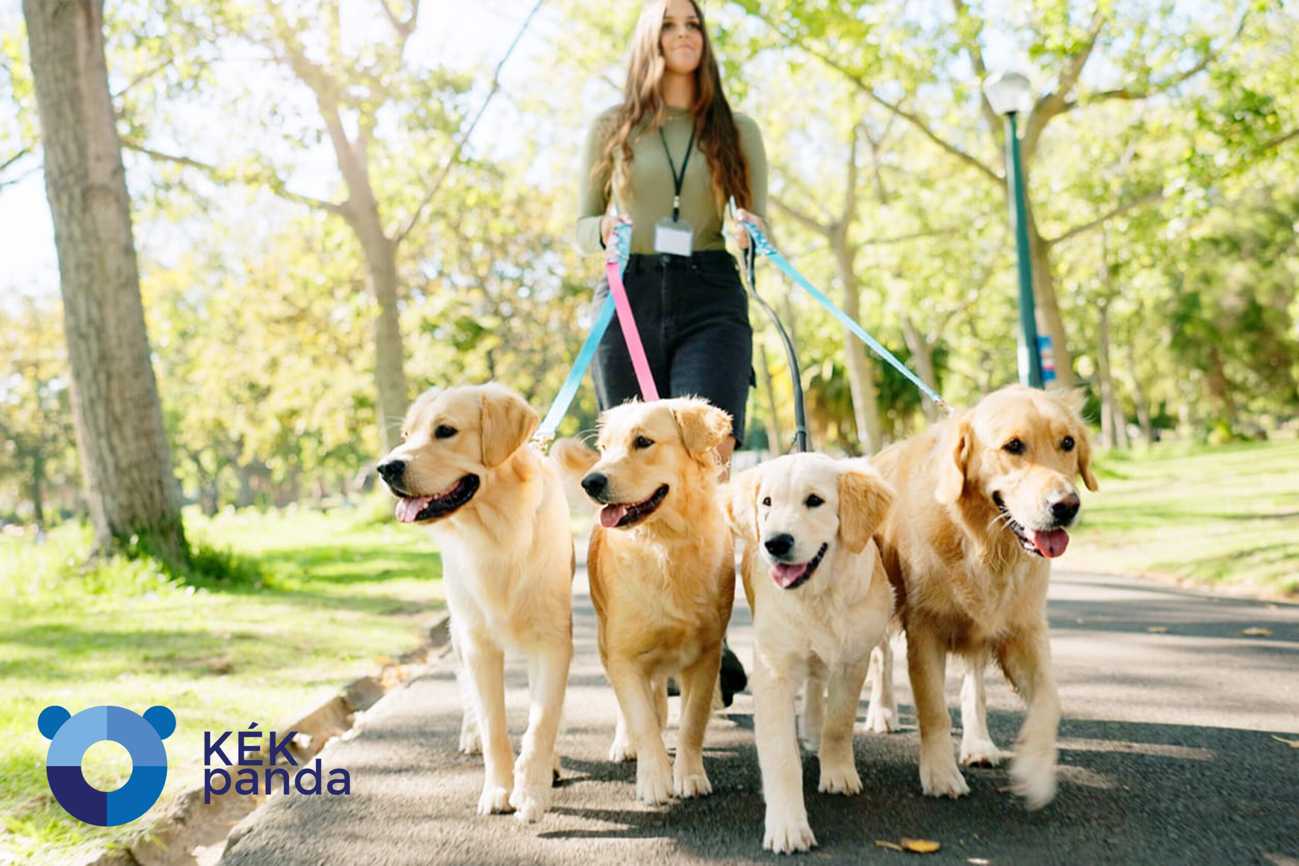 T&ouml;k&eacute;letes p&oacute;r&aacute;z kiv&aacute;laszt&aacute;sa kutya sz&aacute;m&aacute;ra