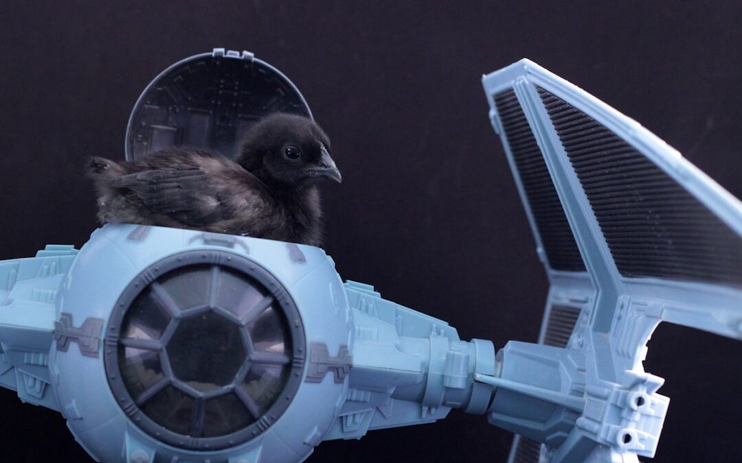 Photo SpaceX Falcon 9