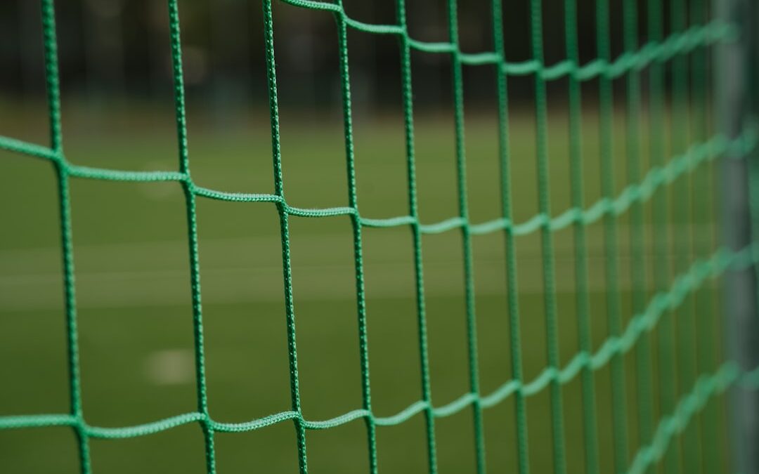 Stefan Frei: A futball hősének története