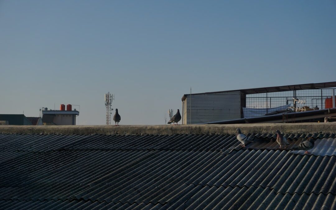 Photo Arrowhead Stadium