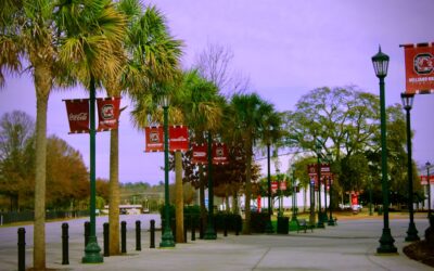 Photo Tampa Bay jersey