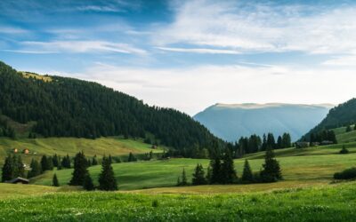 Photo Tennis champion