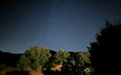 Photo Star-filled sky