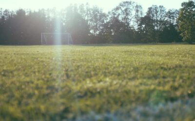 Photo Soccer field